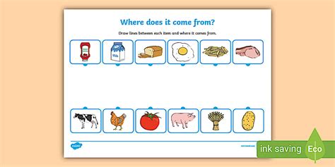 Where Does Come From Us