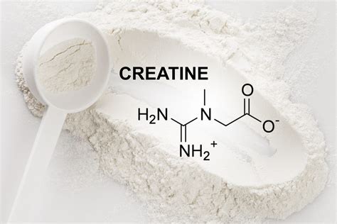 Where Does It Come From Creatine