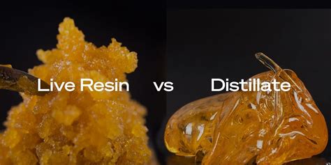 Where Does Live Resin