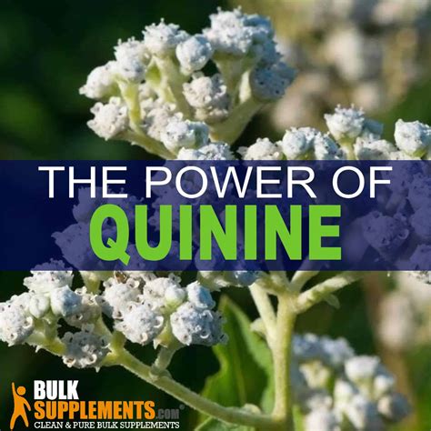 Where Is Quinine Used