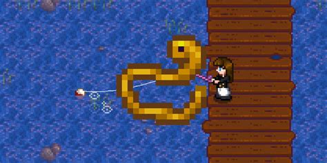 Where To Find Eel Stardew Valley