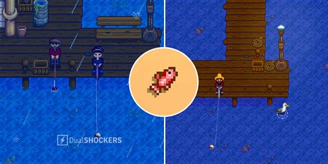 Where To Find Red Snapper Stardew Valley