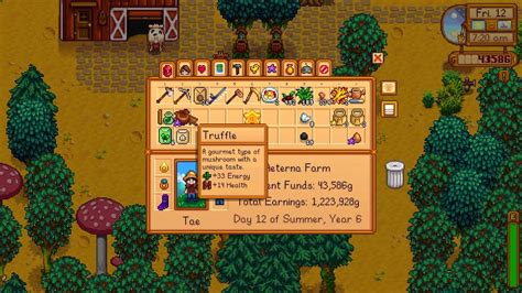 Where To Find Truffle Stardew Valley