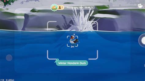 Where To Find Winter Mandarin Duck Heartopia
