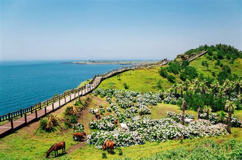 Where To Go In Jeju
