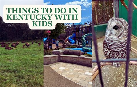 Where To Go In Kentucky With Kids