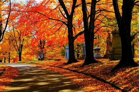 Where To See Fall Foliage