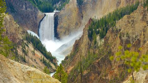 Where To See Yellowstone
