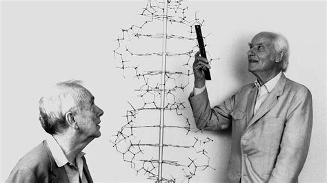 Who Discovered Dna Structure