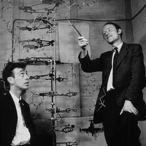 Who Discovered Dna