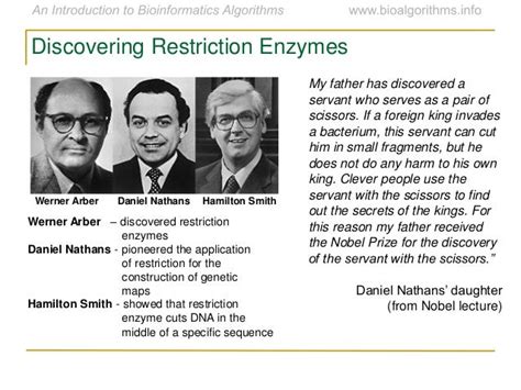 Who Discovered Restriction Enzymes