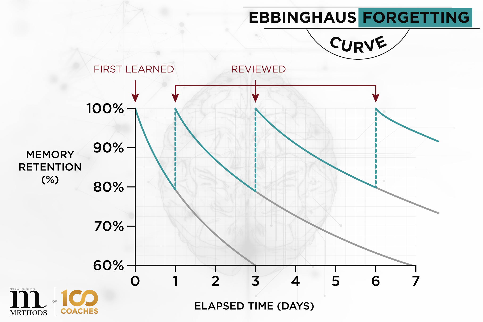The Science Of Forgetting: Why Your Human Brain Hits Delete