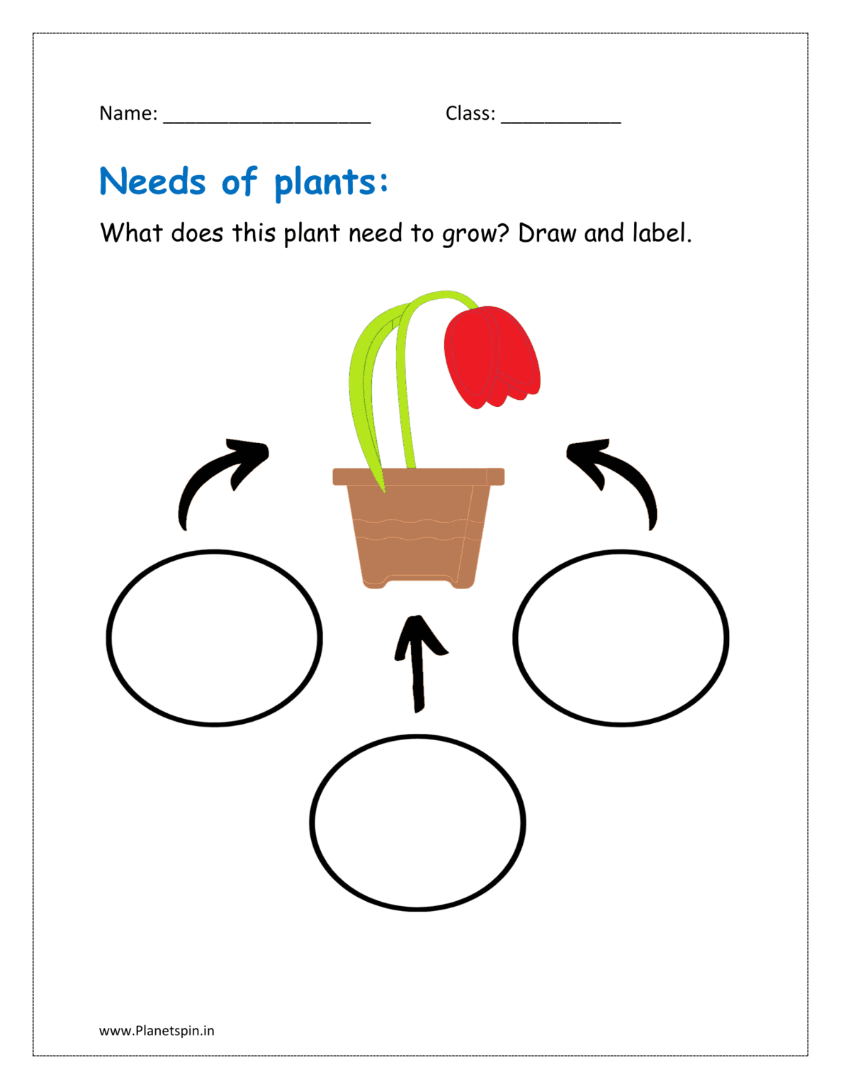 Worksheet Find Alphabet G