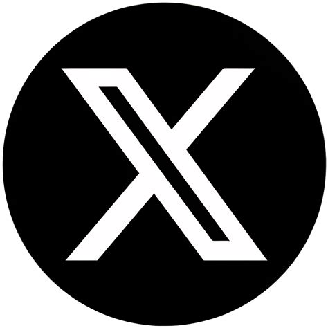 X Icon Silhouette