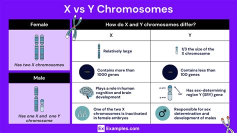 X Of Y Structure