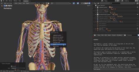 Z Anatomy 3D Atlas
